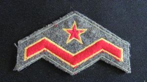 Irish Defence Forces Rank Badge