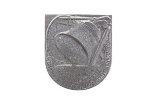 NSB Zwarthemden bijeenkomst 1939 Tinnie