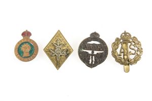 Collection of female Commonwealth capbadges