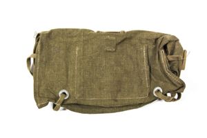 Tropical A-frame bag