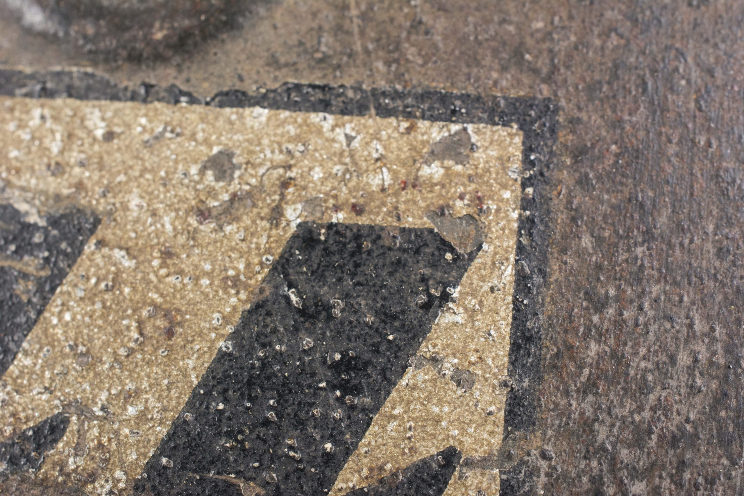 EF64 M42 Waffen-SS single decal helmet — image 4