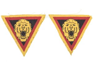 Printed Belgian Brigade Piron sleeve insignia