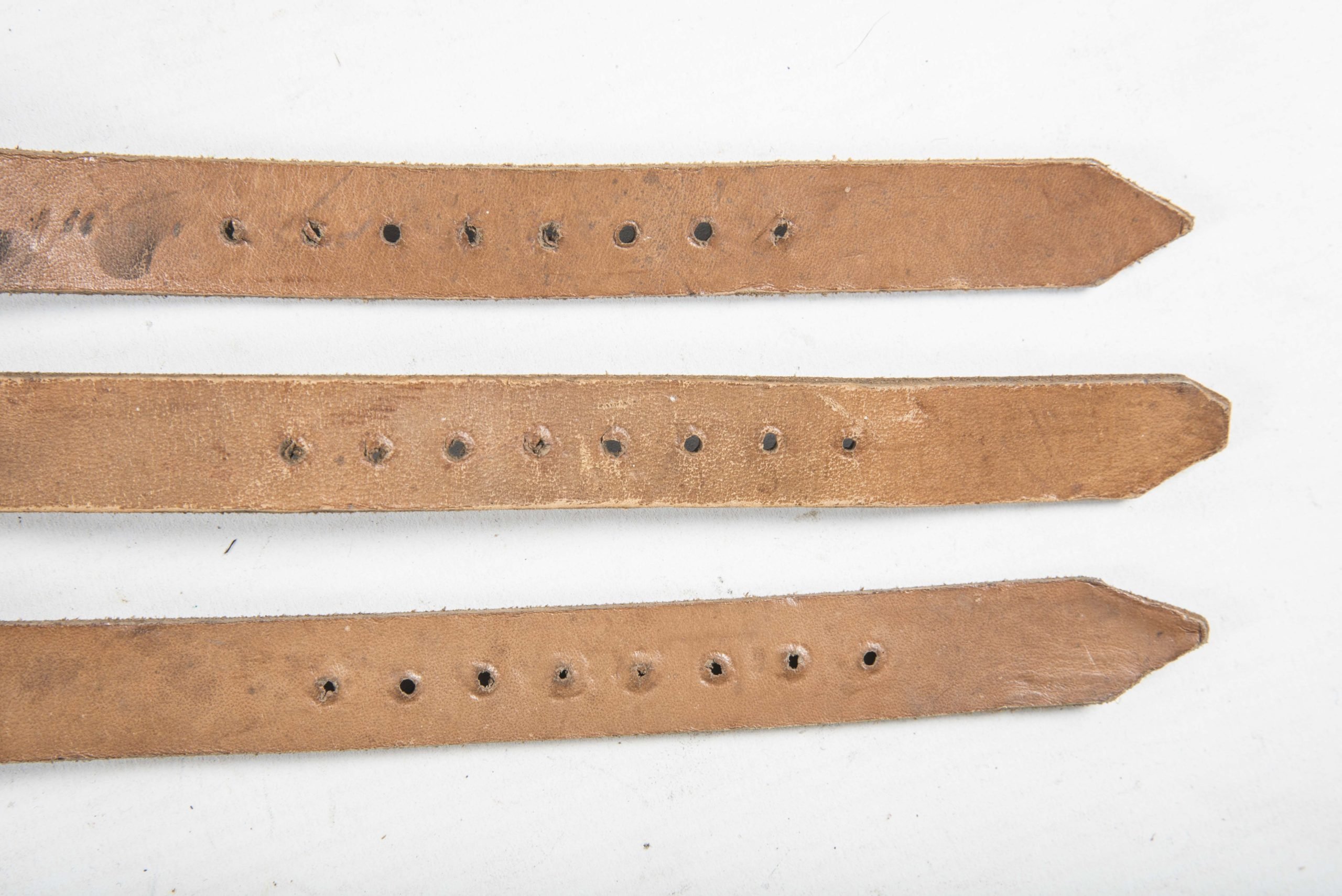 Three matching equipment straps — image 6