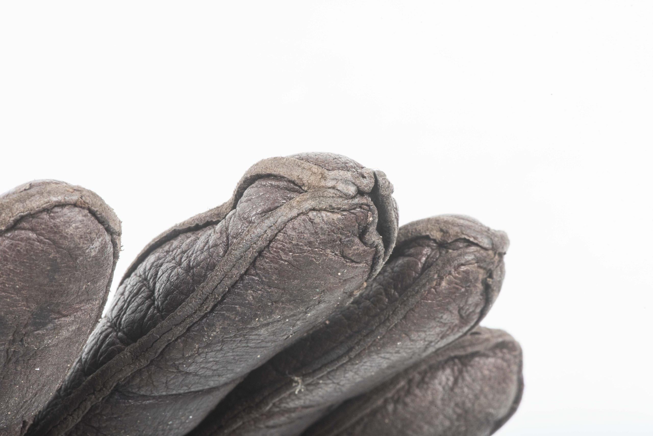 Rare brown leather lined Fallschirmjäger gloves — image 5