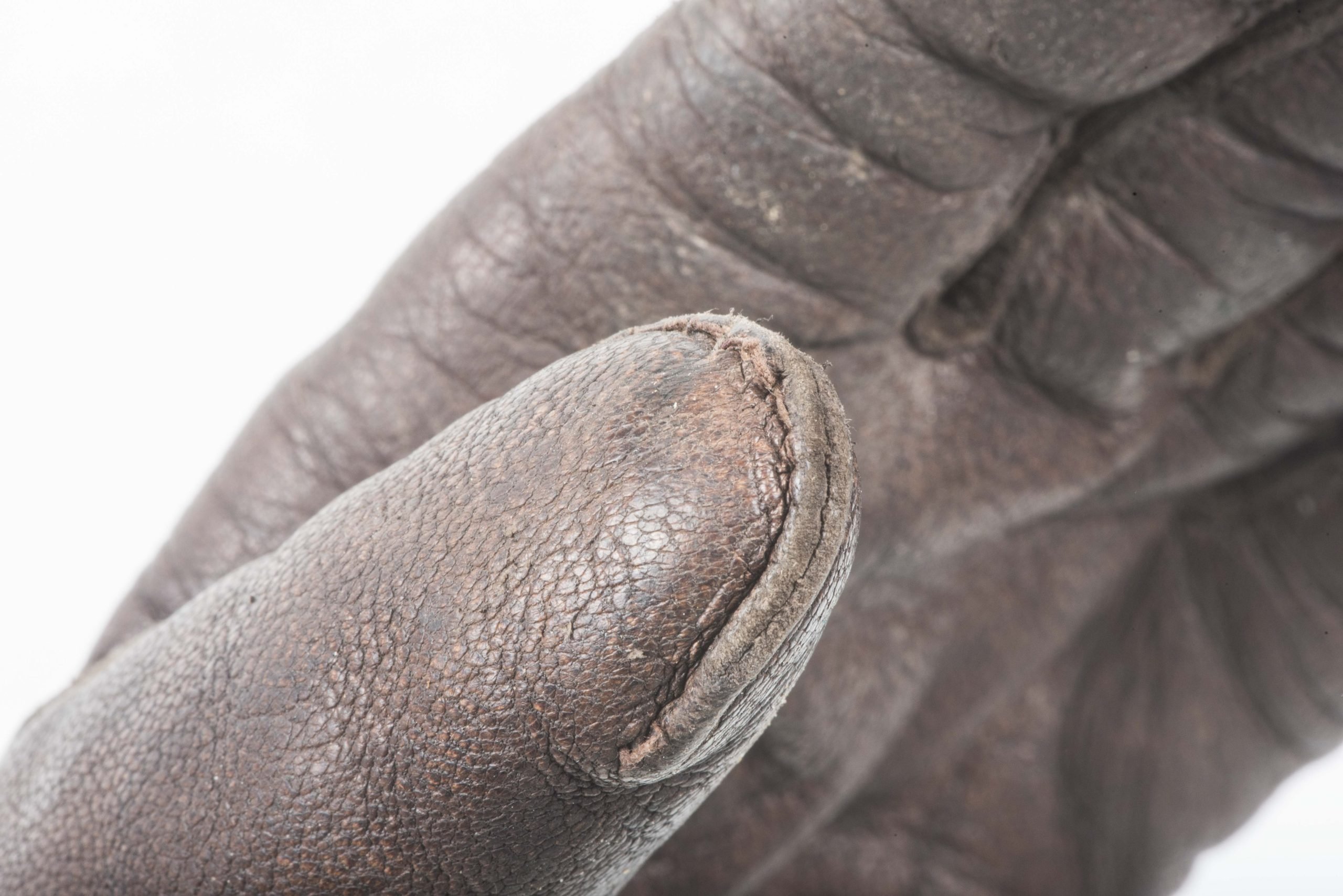 Rare brown leather lined Fallschirmjäger gloves — image 7