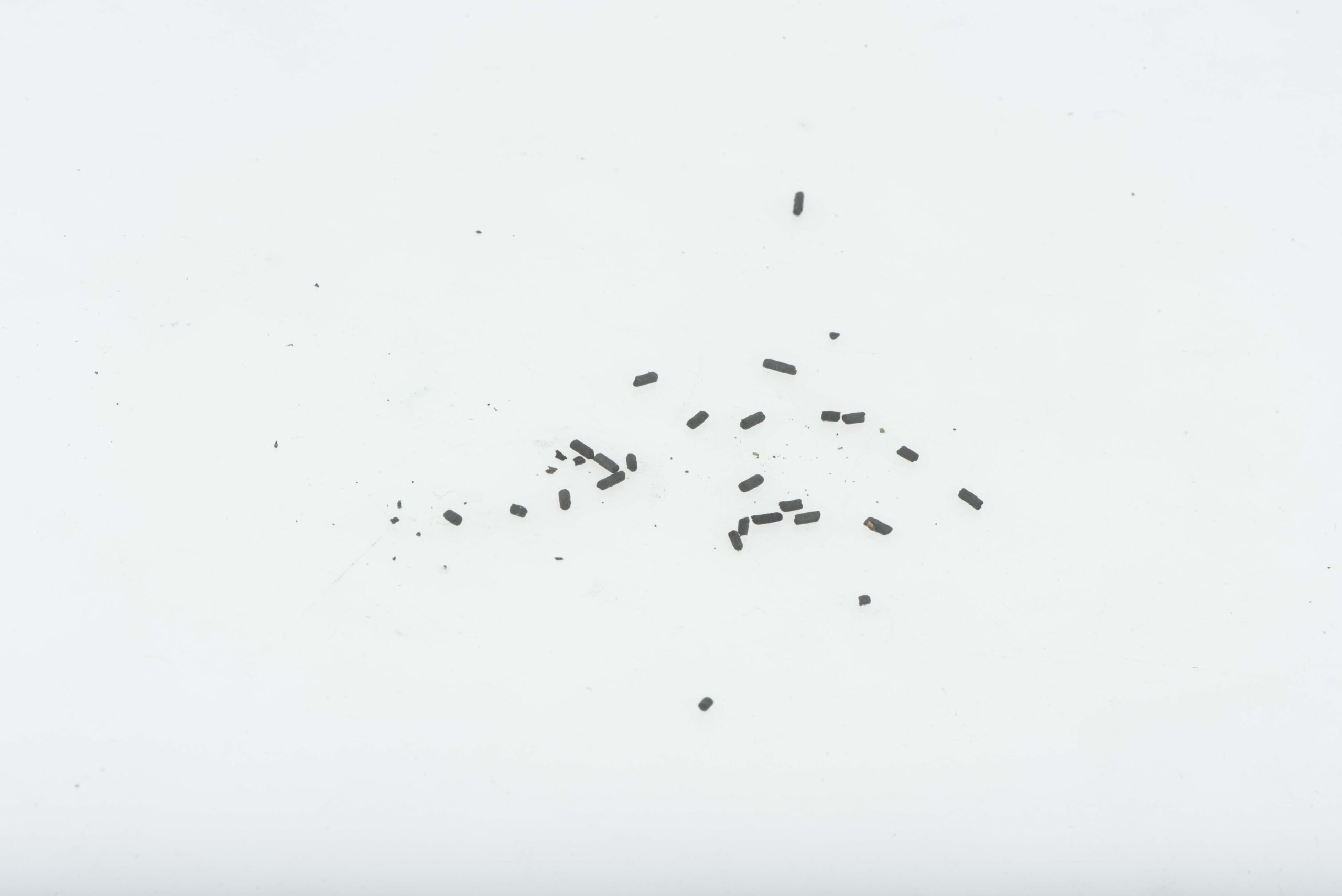 Rare Kavallerietasche Reichswehr gasmask filter marked R. Larsen Berlin S.W.4B, FB 41 bwz — image 14