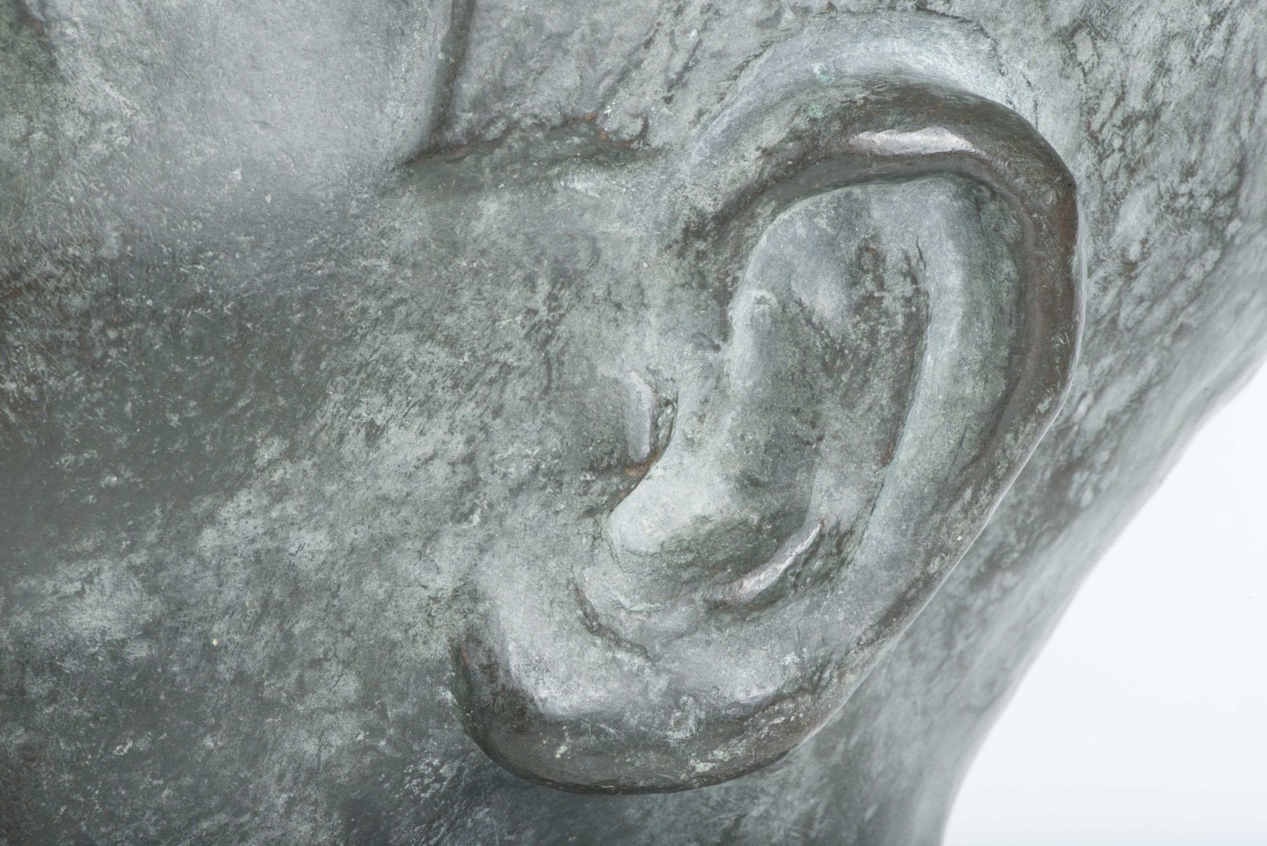 Rare twice life sized bronze bust of Adolf Hitler marked FL — image 13