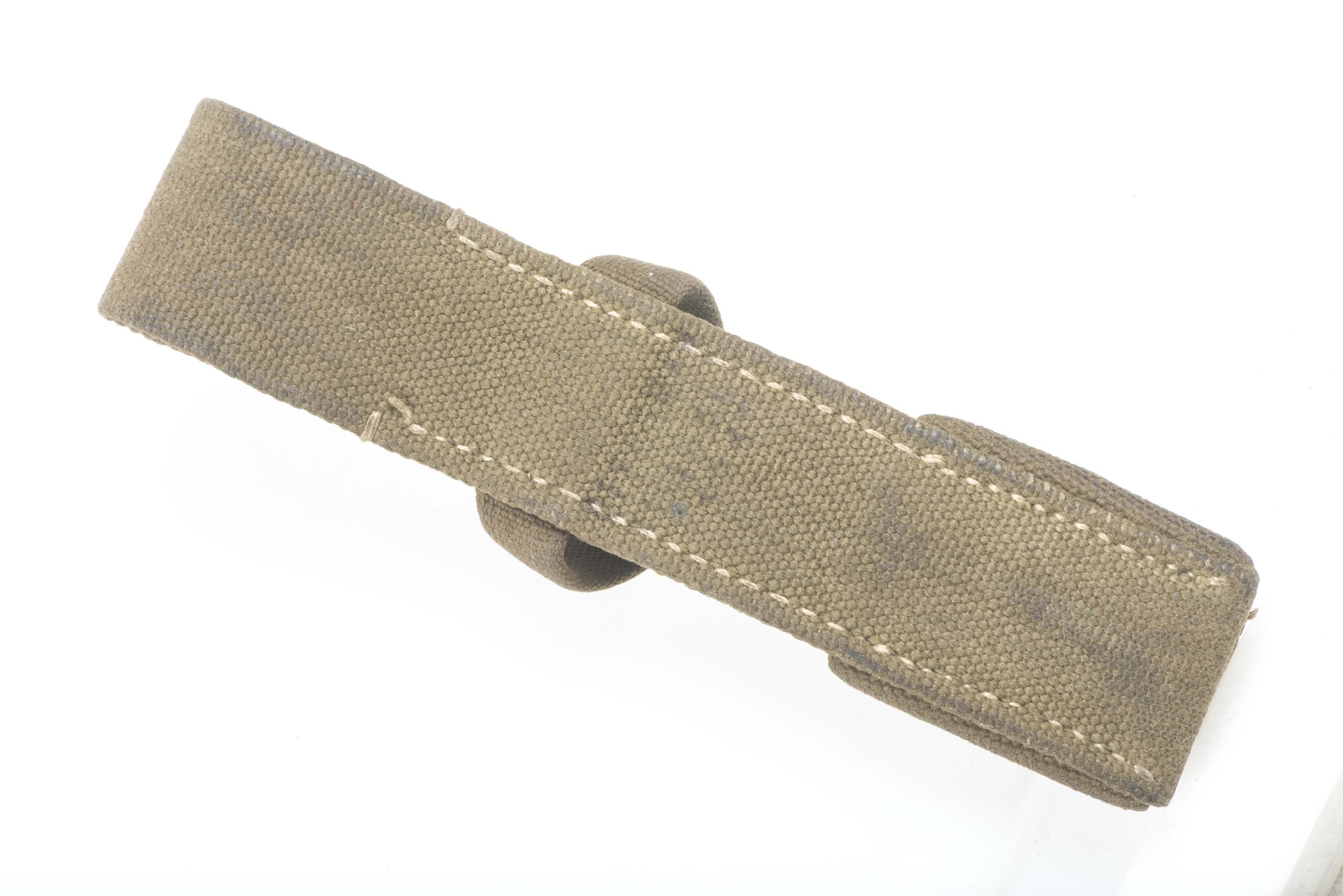 Tropical bayonet frog — image 2