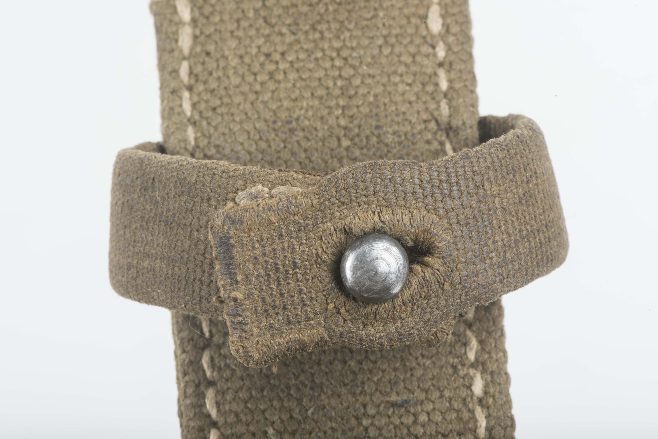 Tropical bayonet frog — image 4