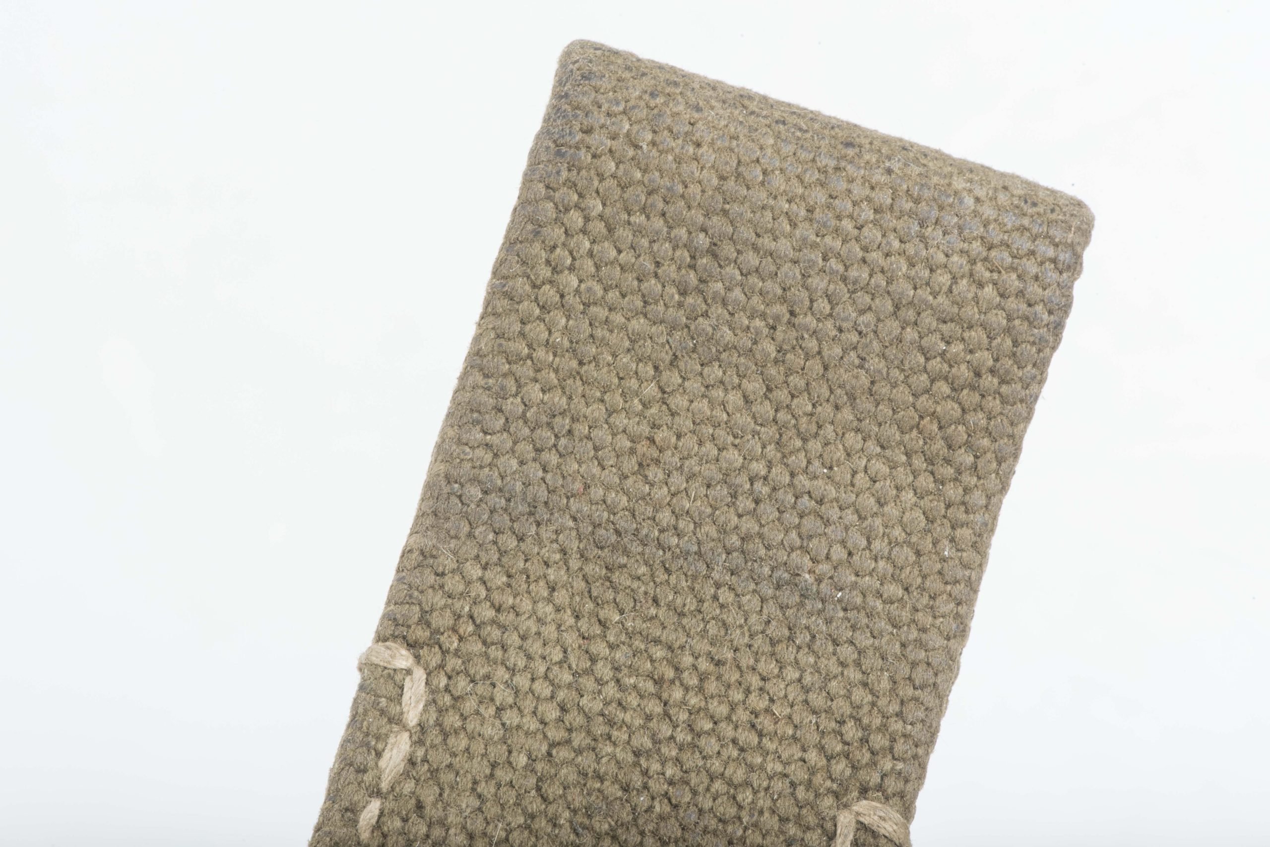 Tropical bayonet frog — image 5