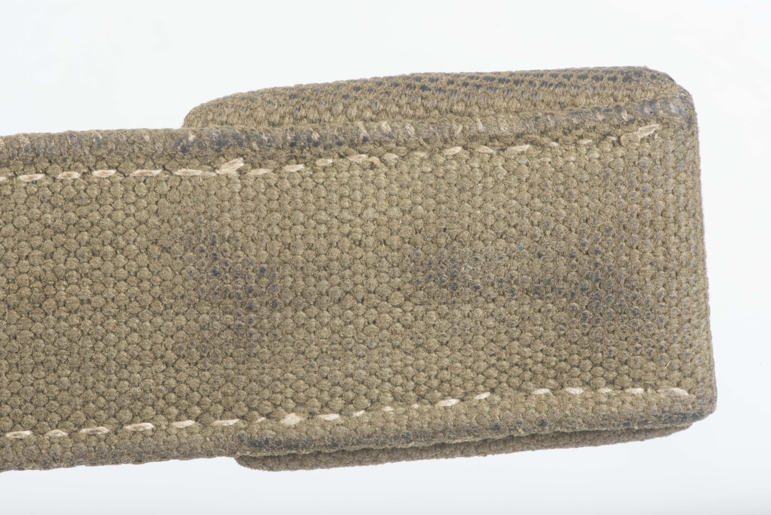 Tropical bayonet frog — image 7