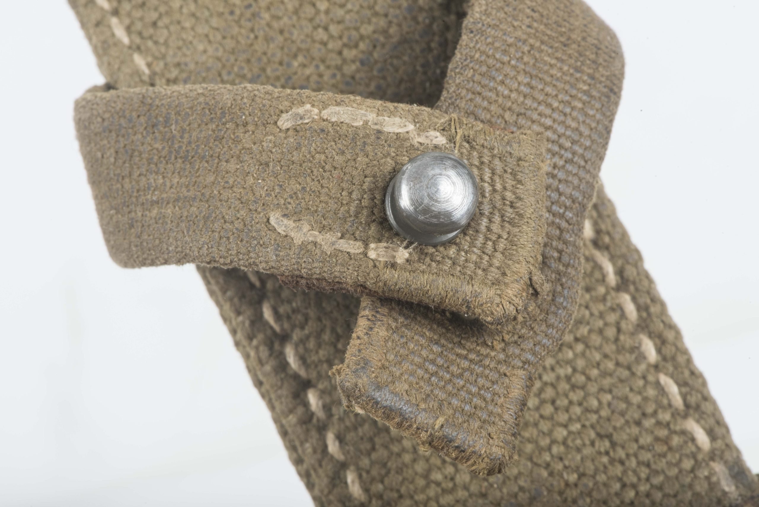 Tropical bayonet frog — image 8