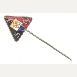 NSB membership pin