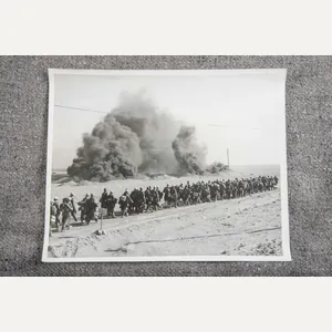 Large Press Photo; Afrikakorps prisoners of war