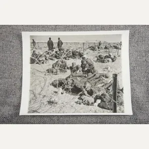 Large Press Photo; Afrikakorps prisoners of war