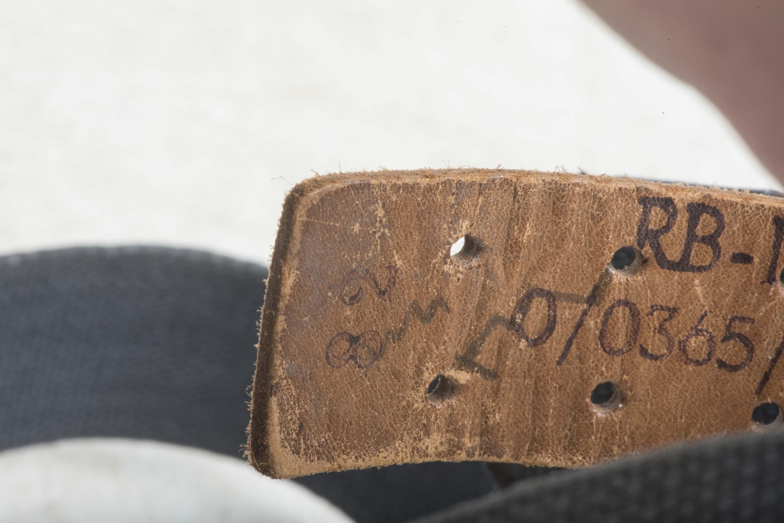 Rare late war Luftwaffe blue webbing equipment belt size 82 marked RB-Nr. 0/0365/0012 — image 8