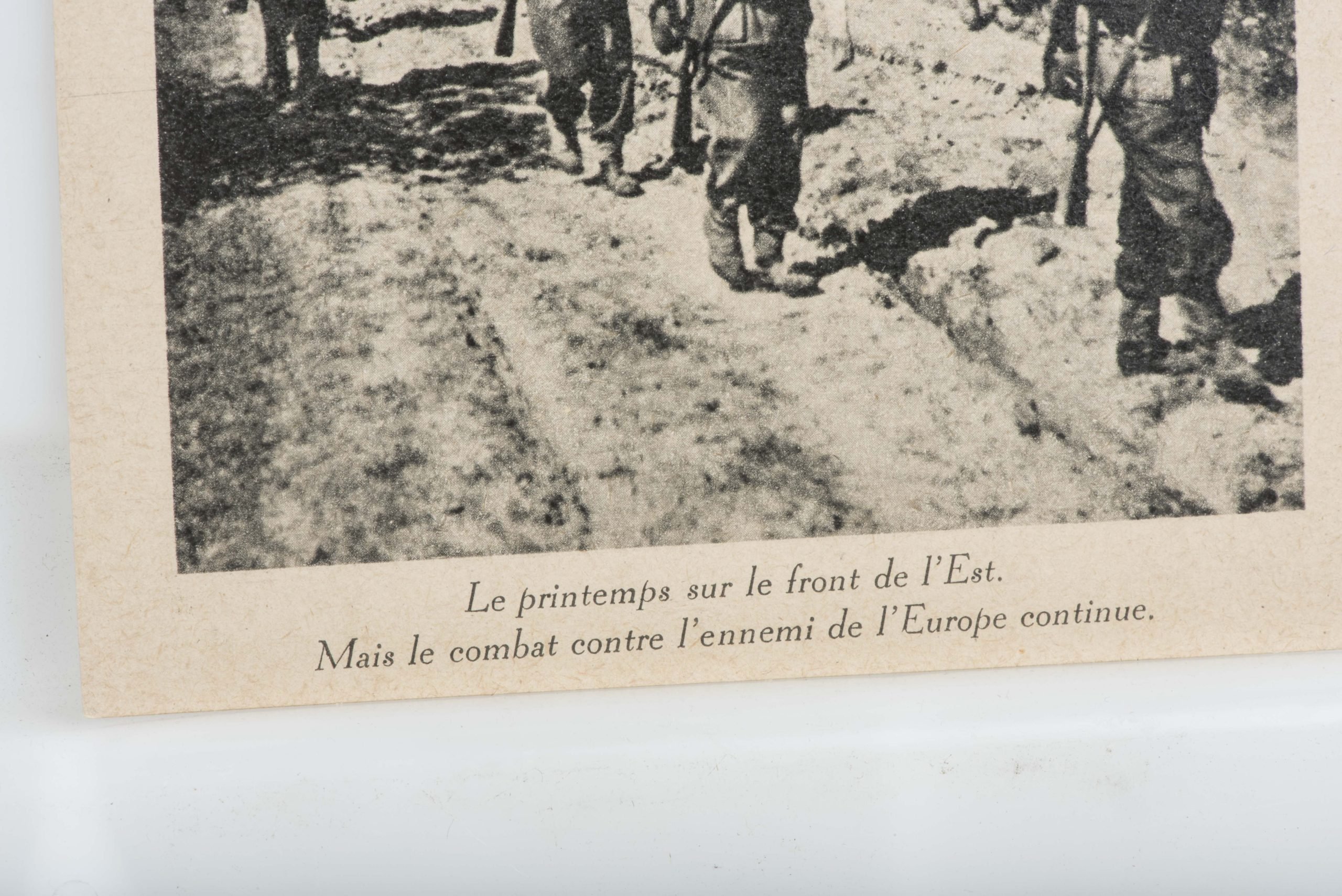 Postcard set of Leon Degrelle with Legion Wallonie — image 31