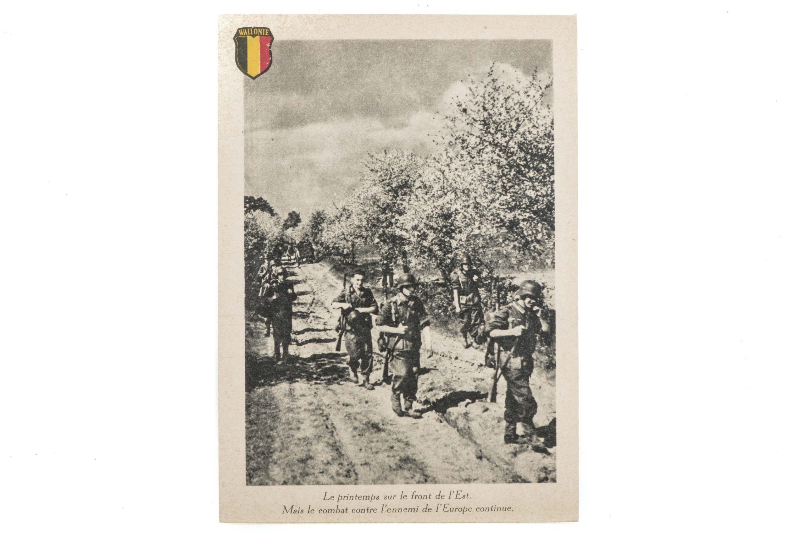 Postcard set of Leon Degrelle with Legion Wallonie — image 32