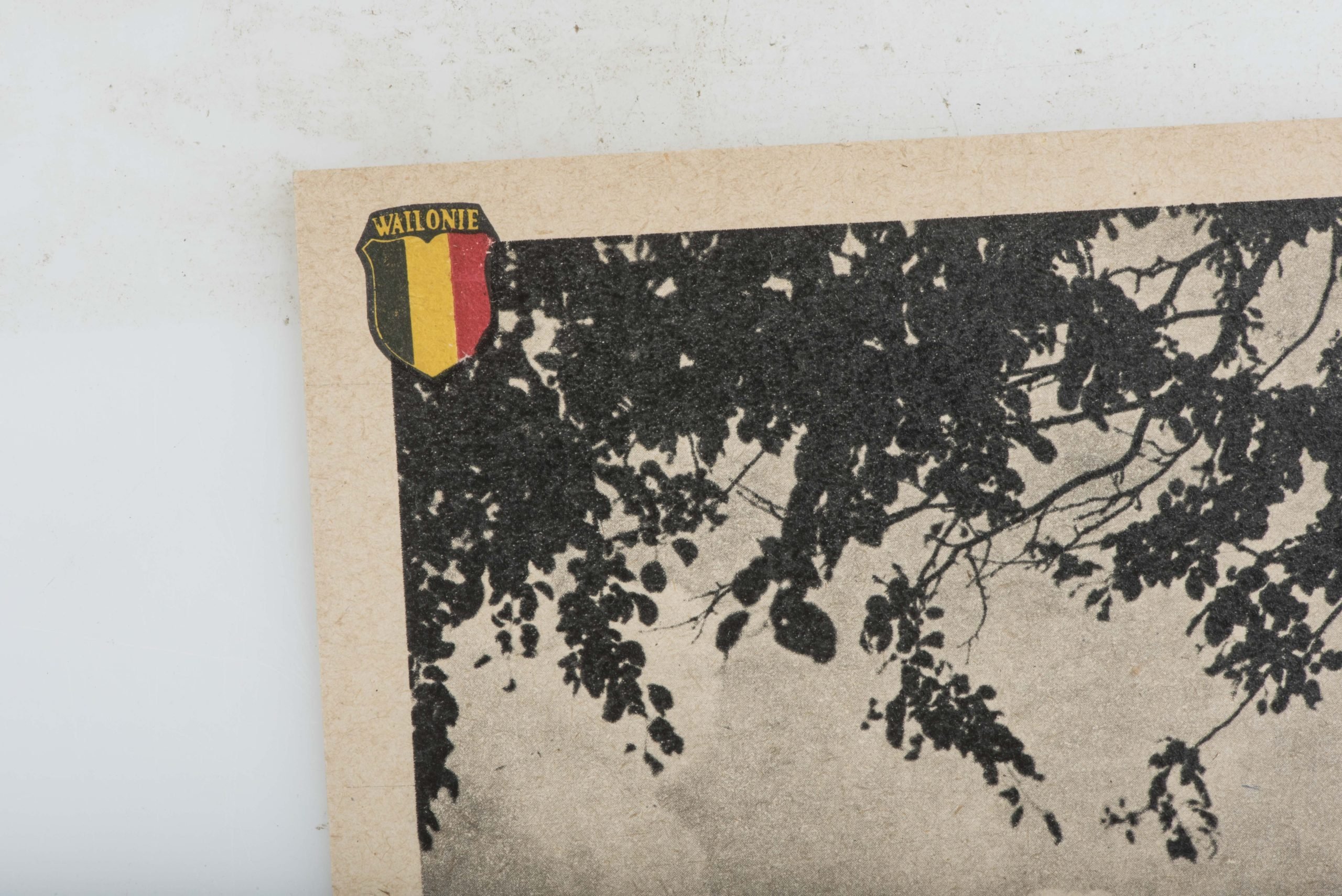 Postcard set of Leon Degrelle with Legion Wallonie — image 34