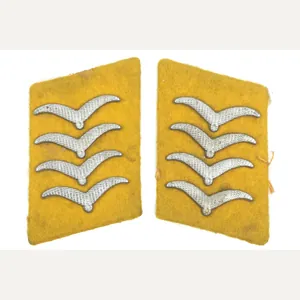 Matching Luftwaffe collar tabs