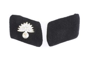 Dutch EM/NCO Waffen-SS collar tabs 'Landwacht'