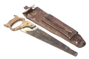 First pioneer French saw