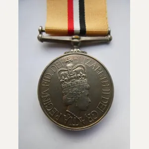 IRAQ MEDAL(OPERATION TELIC) MEDAL TO BRYAN -PRINCESS OF WALES ROYAL …