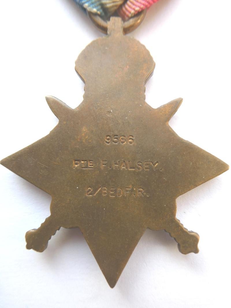 1914 STAR-TO HALSEY-BEDFORDSHIRE REGT-DIED OF WOUNDS 26/09/1915 — image 2