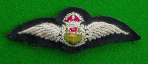 Southern Rhodesian Air Force.