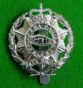 North Somerset Yeomanry / 44th.Royal Tank Regiment.