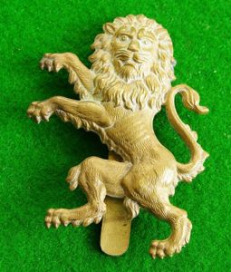 Kenya Defence Force.