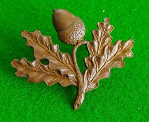 South Nottinghamshire Hussars.