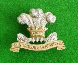 Caernarvon & Denbeigh Yeomanry.