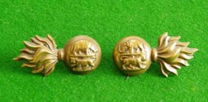 Royal Dublin Fusiliers.