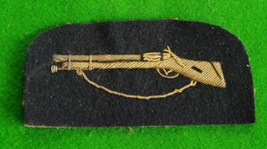 Royal Navy / Royal Marines.