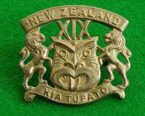 New Zealand-Rienforcements.