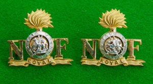 Royal Northumberland Fusiliers.