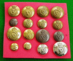 Shropshire Yeomanry Cavalry / Imperial Yeomanry and Yeomanry.