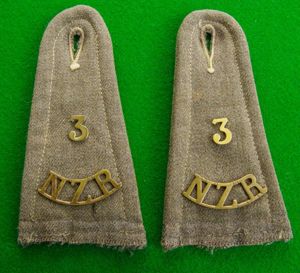 New Zealand-Reinforcements.