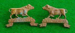 Kenya Regiment.{Territorial Force}