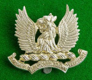 Ayrshire Yeomanry.{Earl of Carrick's Own}