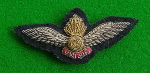 Air Observation Pilot.{Royal Artillery}