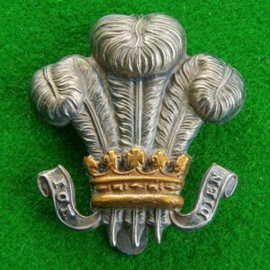 Royal Wiltshire Yeomanry. {Prince of Wales's Own}