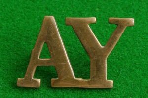 Ayrshire Yeomanry.{Earl of Carrick's Own}