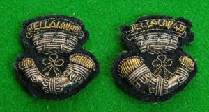 Somerset Light Infantry {Prince Albert's Own}