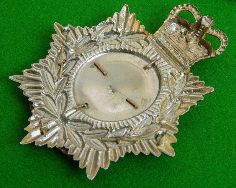 Duke of Edinburgh's Royal Regiment. — image 2