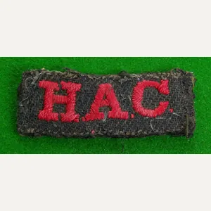 Honourable Artillery Company.