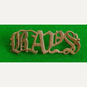 2nd. Dragoon Guards {Bays}