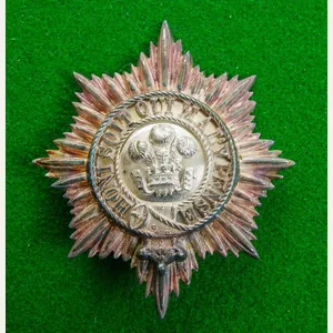 Welsh -Volunteers ? Militia ?