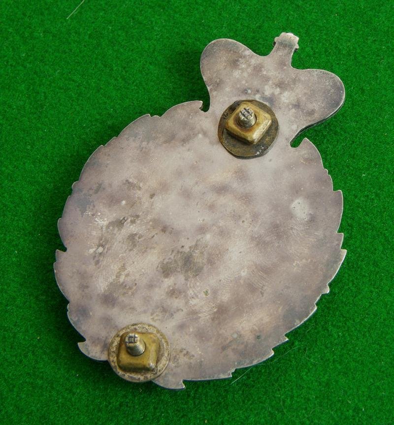 Royal Welsh Regiment- Militia? — image 2